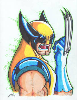 WOLVERINE (COLOR)