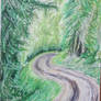 Forest Road