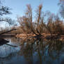 old Rhine shore