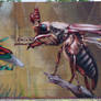 graffitentomology