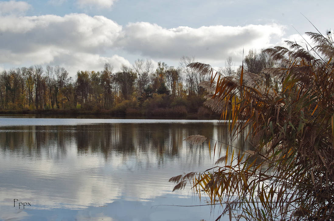 temperature falling by Pippa-pppx on DeviantArt