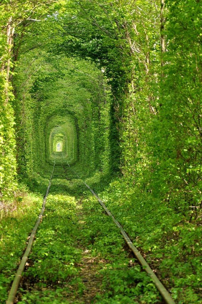 Green Tunnel  3