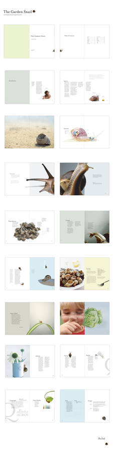 Snail Book Full size layout