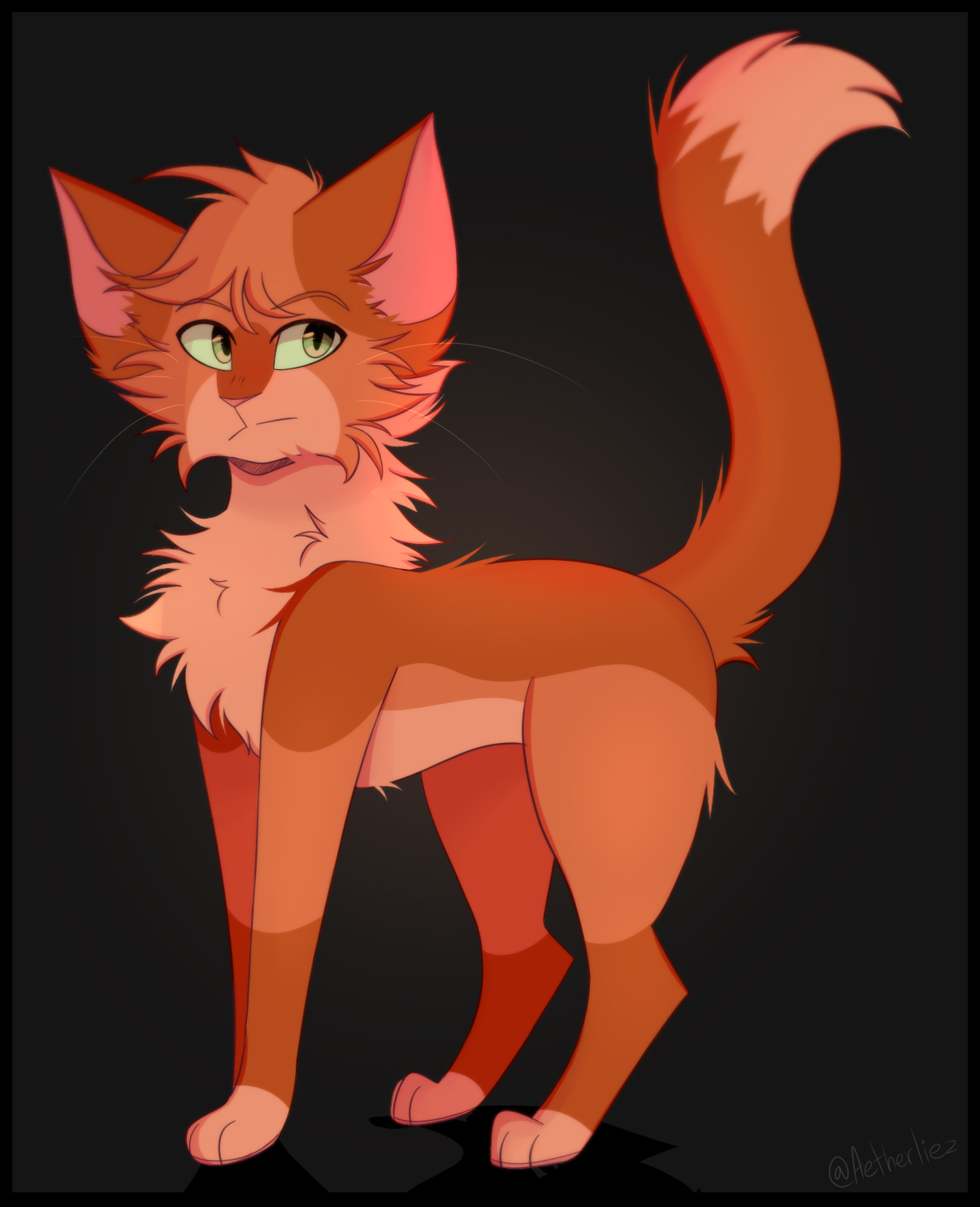 Firestar design - Warriors Cats by AngelDalet on DeviantArt