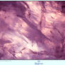 Ice 3