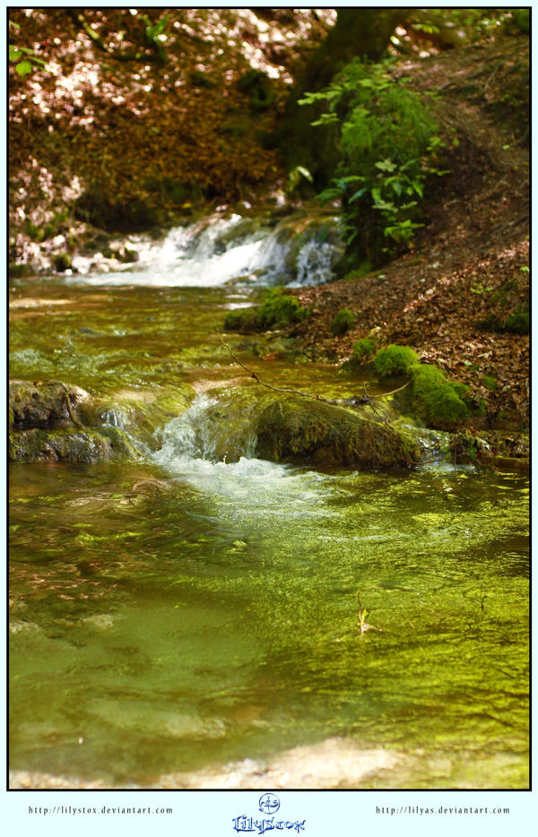 Rapid Creek