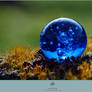 Glass Globe 2