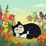 James the Cat