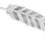 First Feather