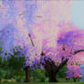 Pink Blossoms and Willows