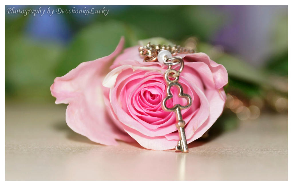 Rose With A Key