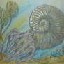 Ammonite