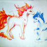 Rapidash and Shiny!Ponyta