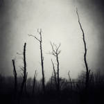 broken nature by RamonaG
