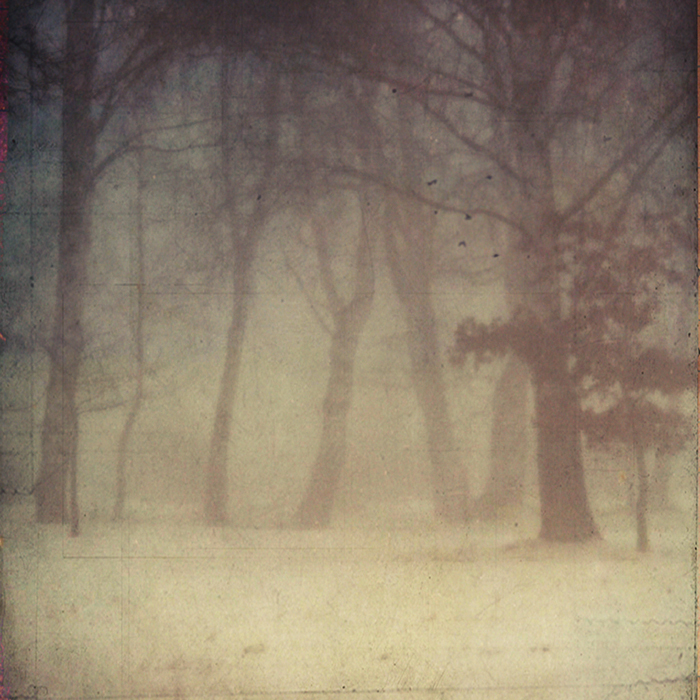 winter fog