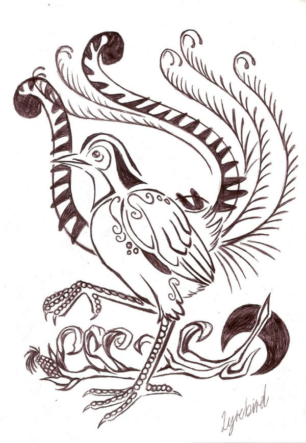 Lyrebird Tattoo Design