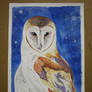Barn Owl-Watercolours