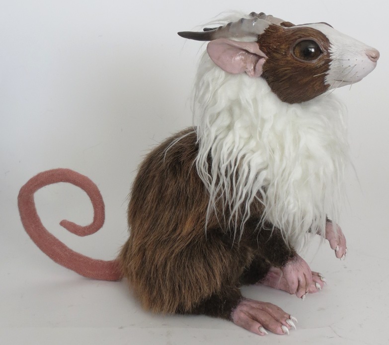 tufted rat