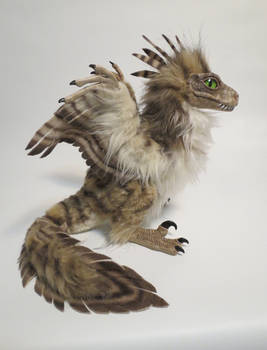 feather raptor chick