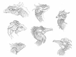 Dragon head sketches