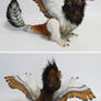 feather-raptor: quagga