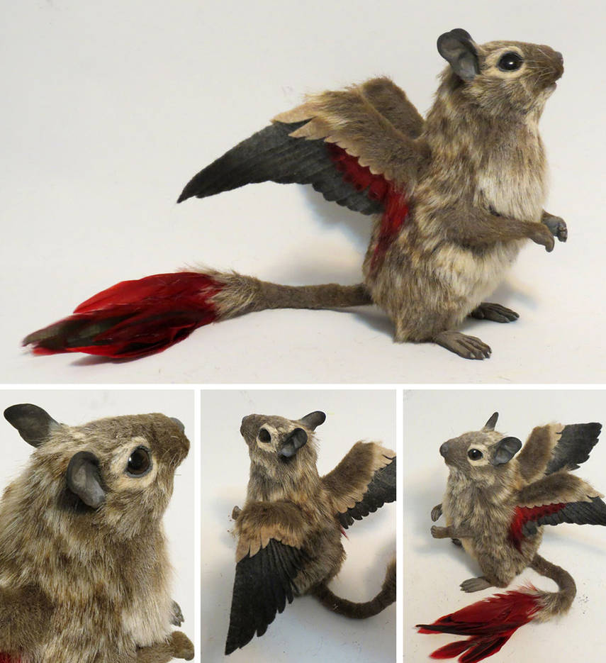 Winged Degu by kimrhodes