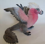 Rose-Parrot Raptor
