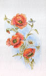 Poppies and Daisies (2014) by stefonthesea
