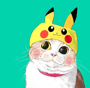 Pikachu is a cat