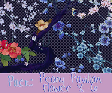 PACK FLOWER X 6 : Peony Pavilion
