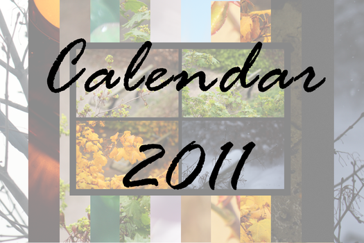 Calendar 2011