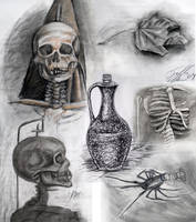 Still Life Sketches 1