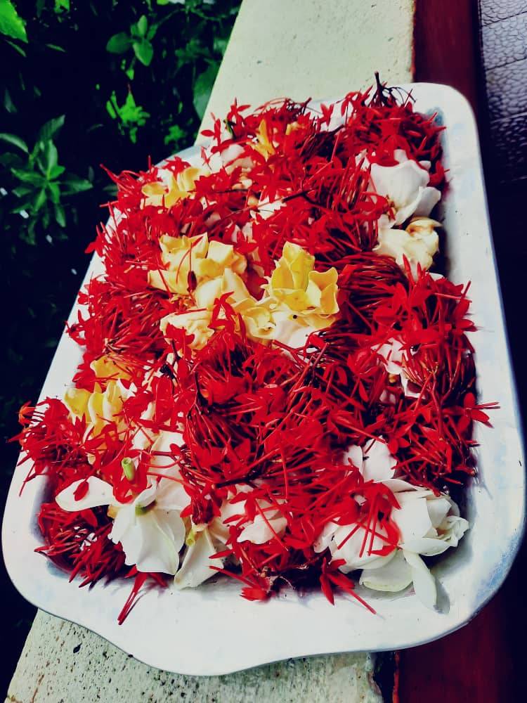 Bountiful Harvest
