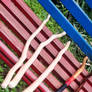 Crafting Magical Wands
