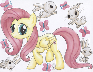 Fluttershy and Angel