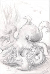 Octopus