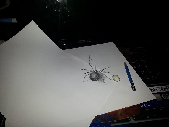 3D spider