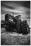 Giant by Rossano1971