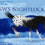 SWS Nightlock 2091