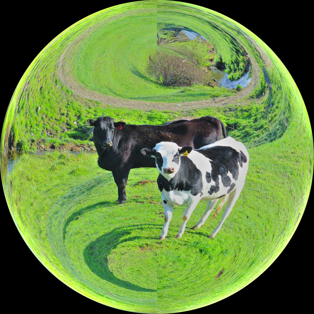 Cow Multiverse Planet Cow by NickMitchell79 on DeviantArt