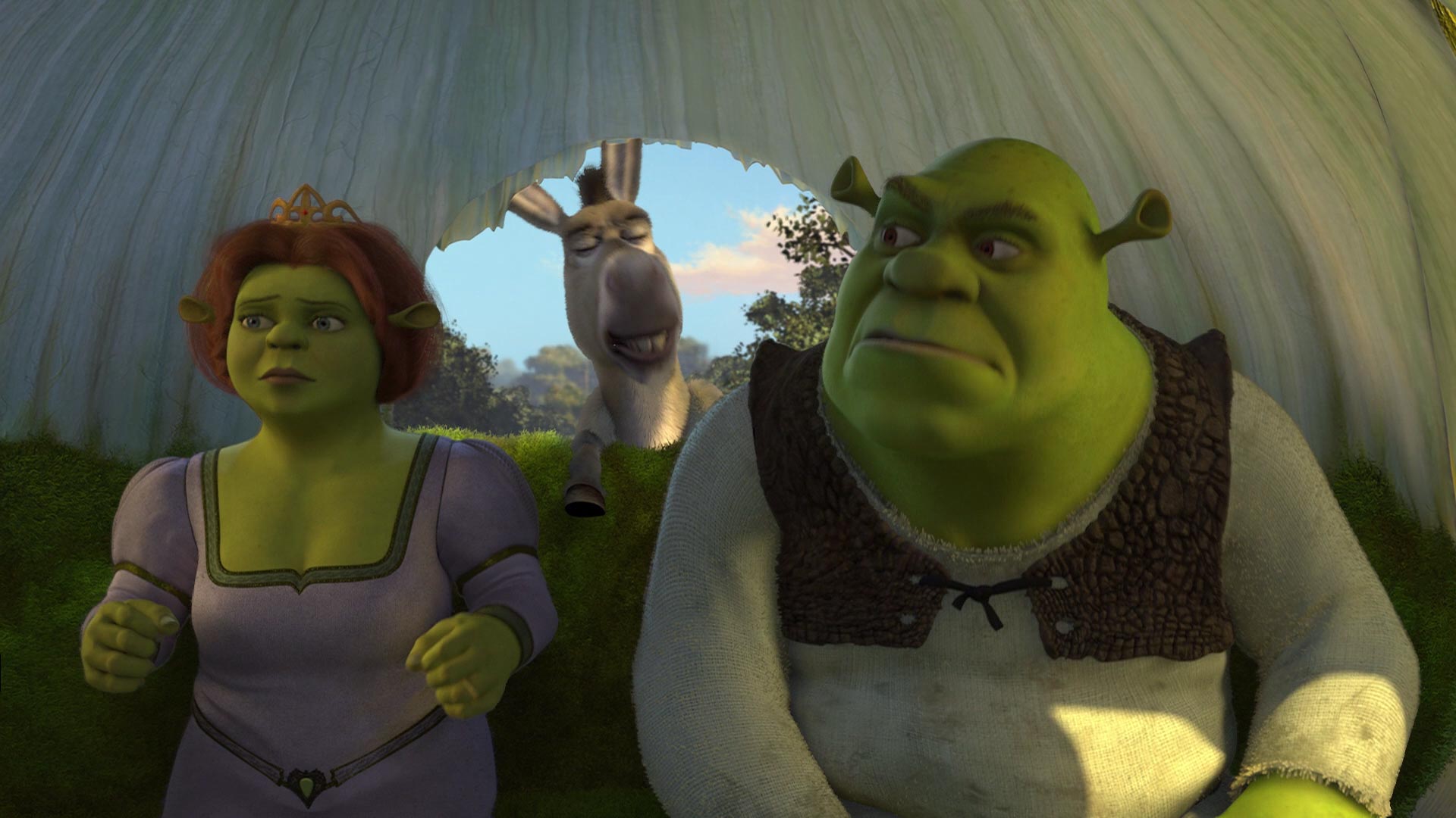 Fiona And Shrek by Cam0722 on DeviantArt