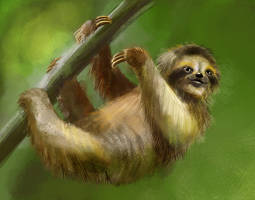 Sloth