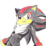 Shadow XD