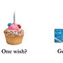 Visa Gift Cards: One Wish?