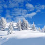 snow paradise