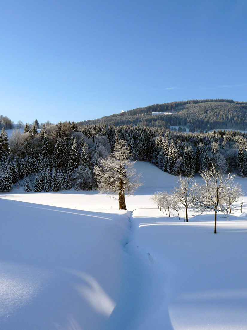 winter morning