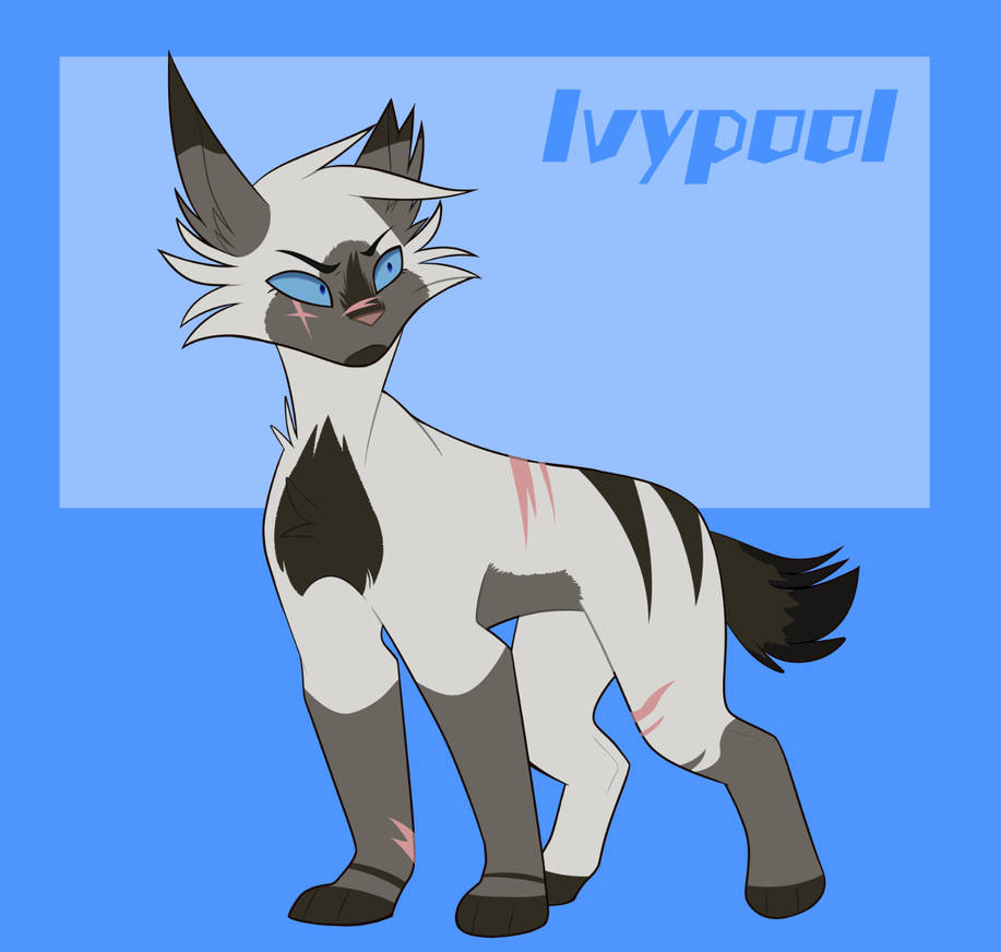 Ivypool Roseshards Ivypool Ref // 1 by Th1stle-Weed on DeviantArt