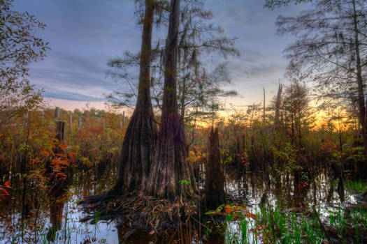 Last Light At Dead Lakes