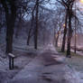 Royal Terrace Gardens - Winter