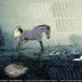 Manipulation Layout- dark, misty, horse, foxes,